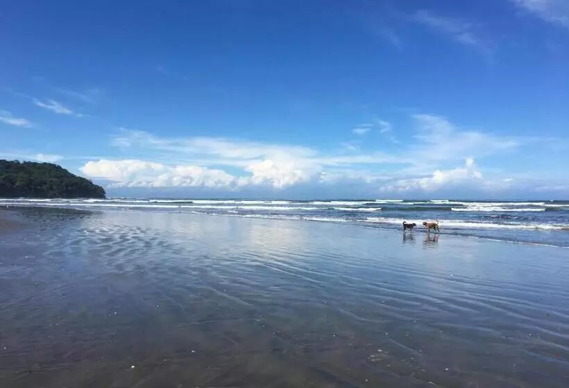 هاستل Alouatta Playa Coyote
