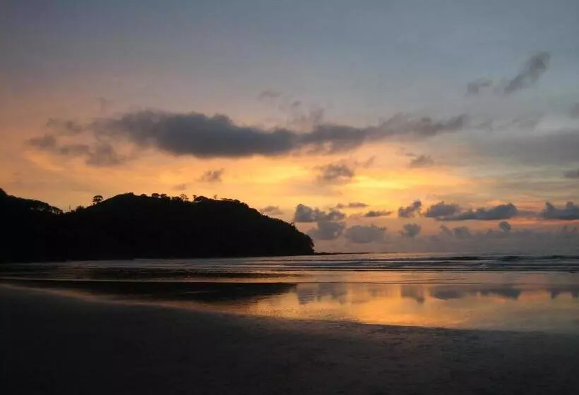 هاستل Alouatta Playa Coyote