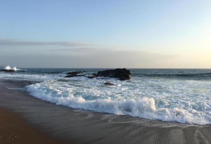 호스텔 Alouatta Playa Coyote