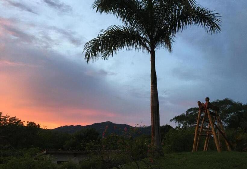 호스텔 Alouatta Playa Coyote