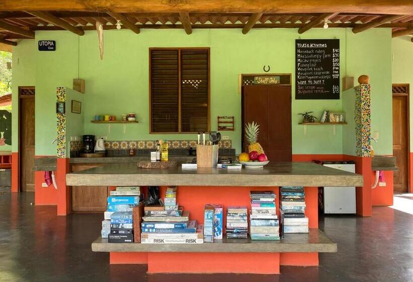 호스텔 Alouatta Playa Coyote