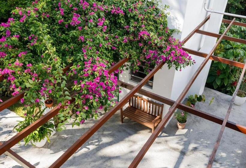 فندق صغير Pousada Residencial Bambus