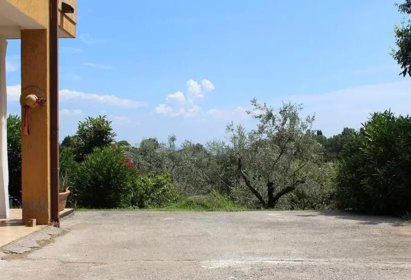 B&b Drusilla Garden