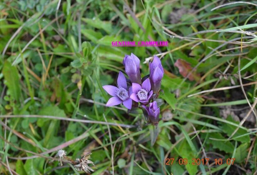 ベッドアンドブレックファースト Chambre D Hôtes Le Moulin