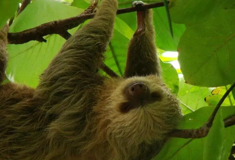 Hotelli Inn On The Park