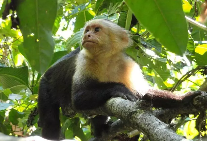 Hotelli Inn On The Park