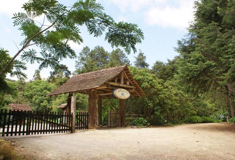 هتل Vale Das Hortênsias