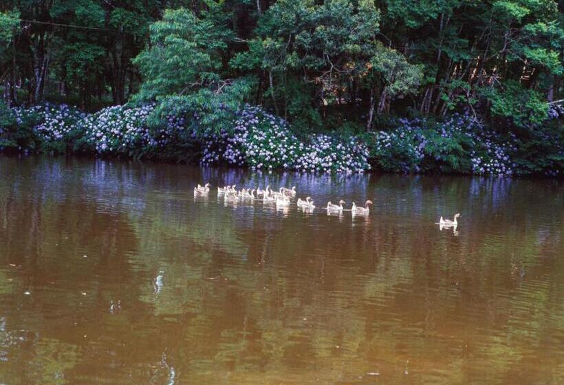 هتل Vale Das Hortênsias