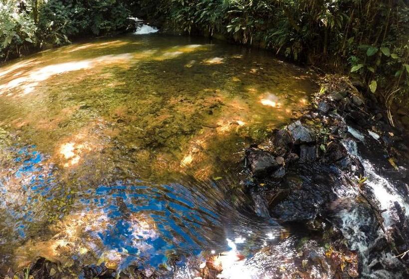 هتل Vale Das Hortênsias