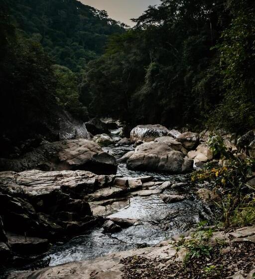 پانسیون Ecolodge Paraty