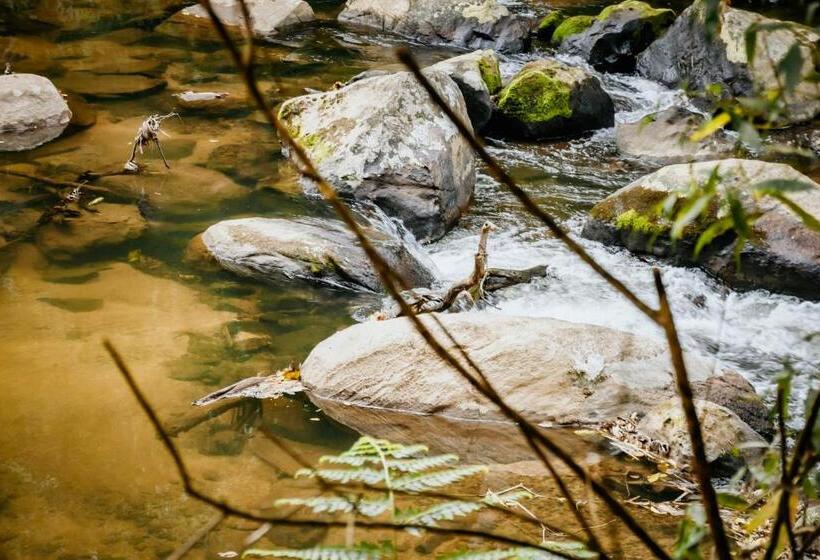 پانسیون Ecolodge Paraty