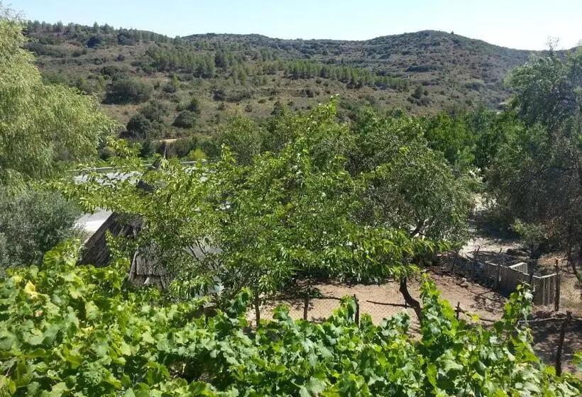 Majatalo Hostal Rural Casa Pedro