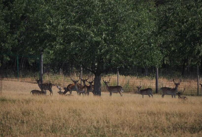 Pensionat Penzion Nemílek