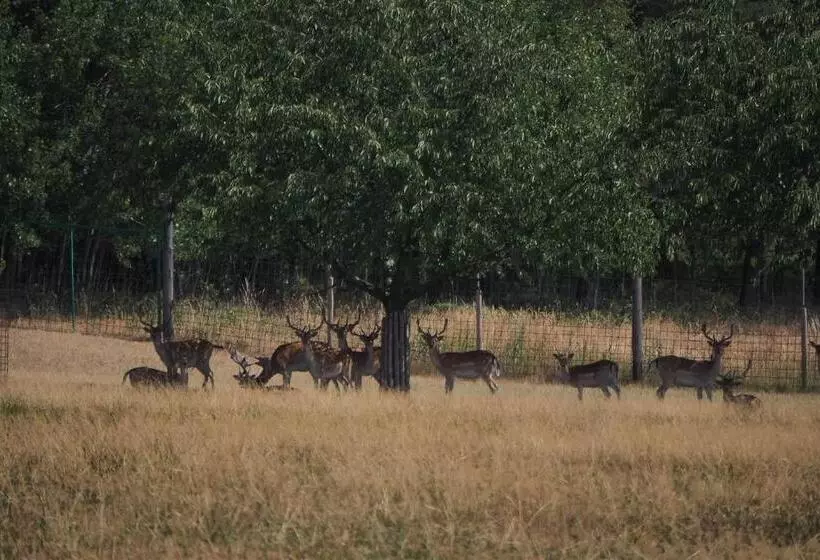 ペンション Penzion Nemílek