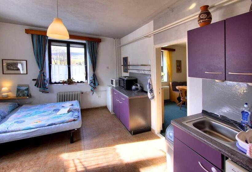 Pensionat Penzion Nemílek