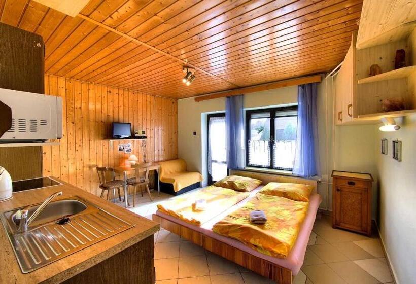 Pensionat Penzion Nemílek