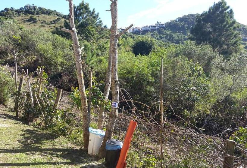 ペンション Residencial Emery Village