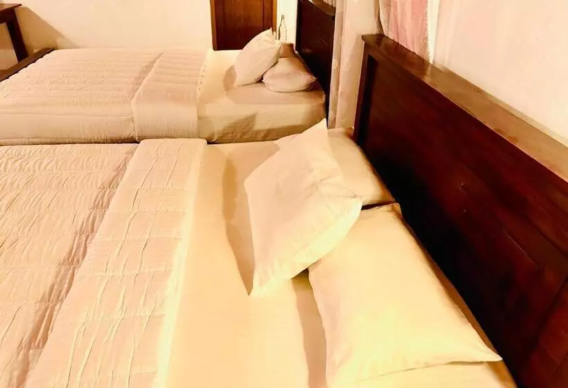 Lomakeskus The Blue Sapphire Of Wilpattu