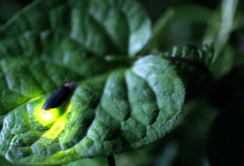 Рёкан Izu Katase Onsen Ayumitei Fukumatsuso