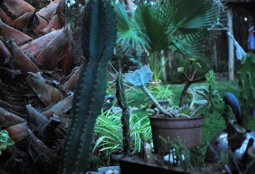 호스텔 La Pedrasanta