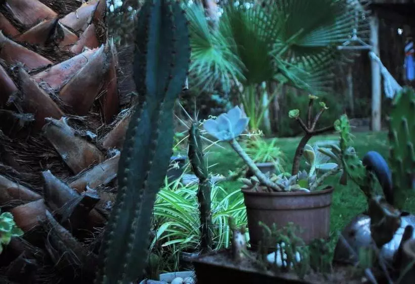 Retkeilymaja La Pedrasanta