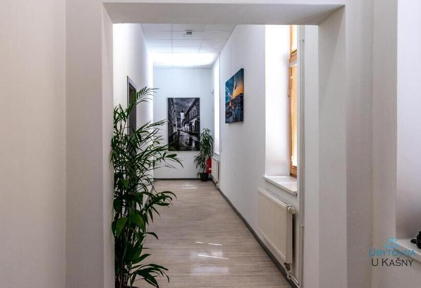 旅馆 Ubytovna U Kašny