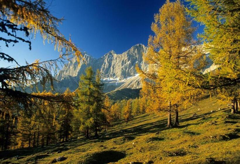 ベッドアンドブレックファースト Dorf Café