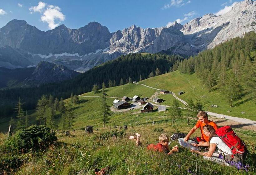 ベッドアンドブレックファースト Dorf Café