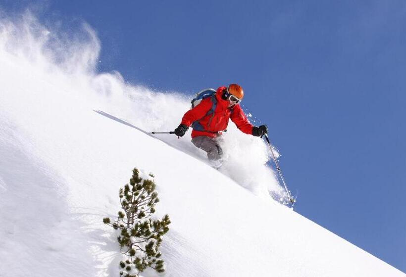 ベッドアンドブレックファースト Dorf Café