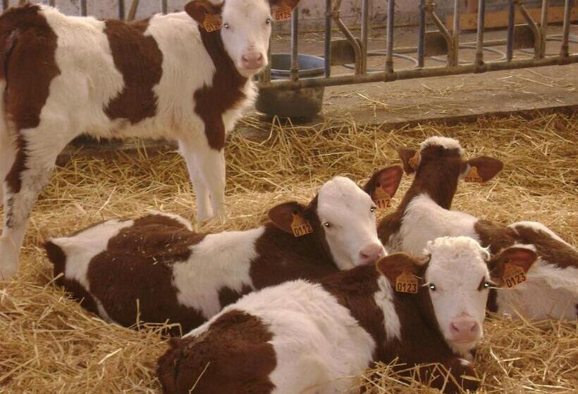 צימר La Ferme De La Velle