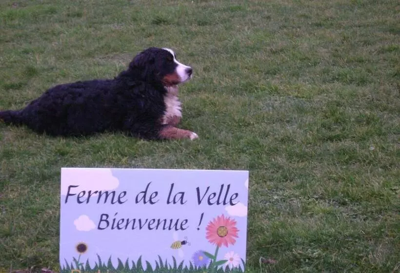 ベッドアンドブレックファースト La Ferme De La Velle