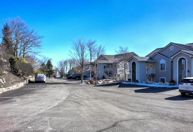 Carolina North By Vci Real Estate Services