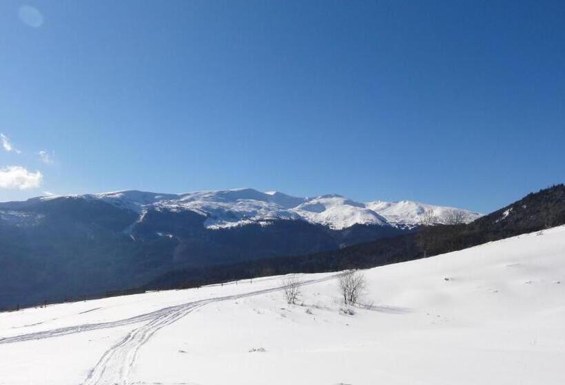 Hotel Forward Pool&sauna