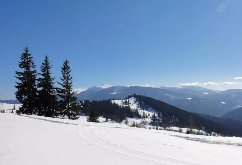 ホテル Forward Pool&sauna