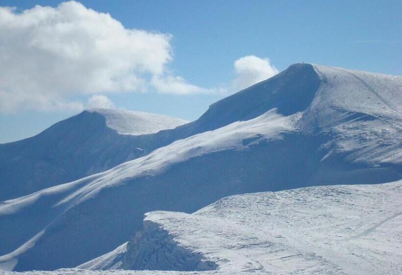 Hotel Forward Pool&sauna