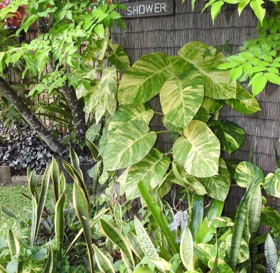 پانسیون Aremango Guesthouse