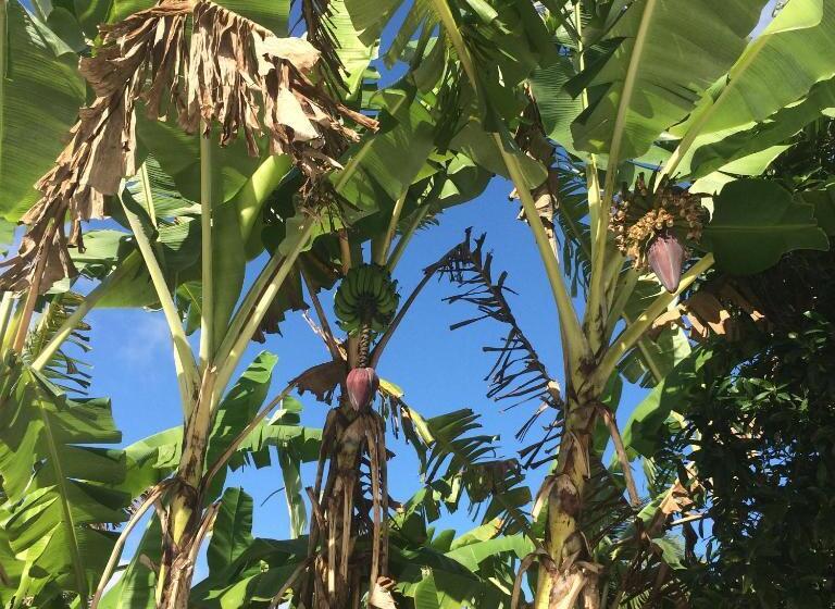 Pansiyon Chalés Musa De Maresias