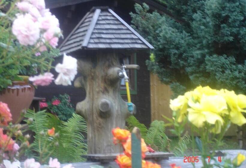 Pansiyon Gasthof Pichler