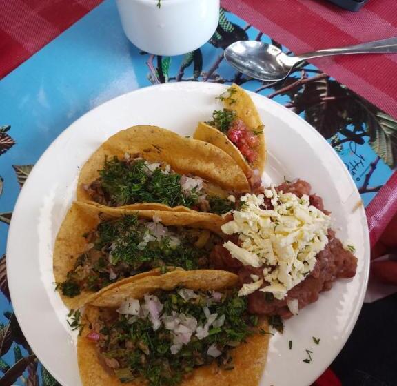 Пансион Monte Verde Cabañas Y Camping