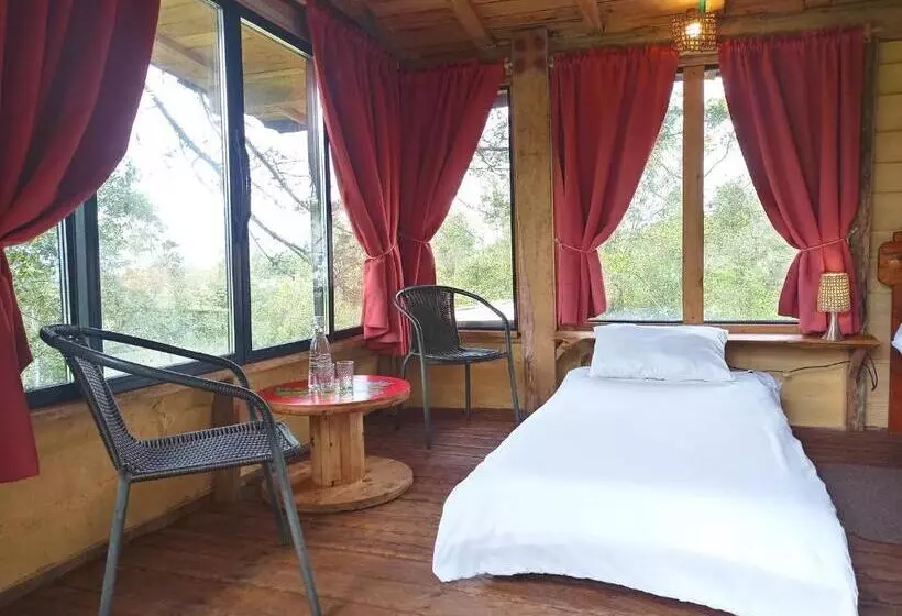 ペンション Monte Verde Cabañas Y Camping