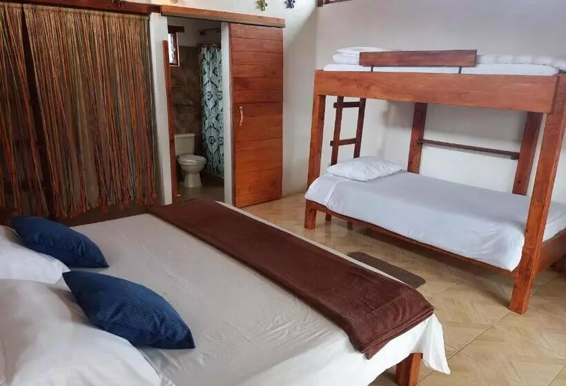 ペンション Monte Verde Cabañas Y Camping