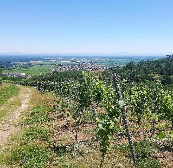 تختخواب و صبحانه Chambres D Hôtes Arnold