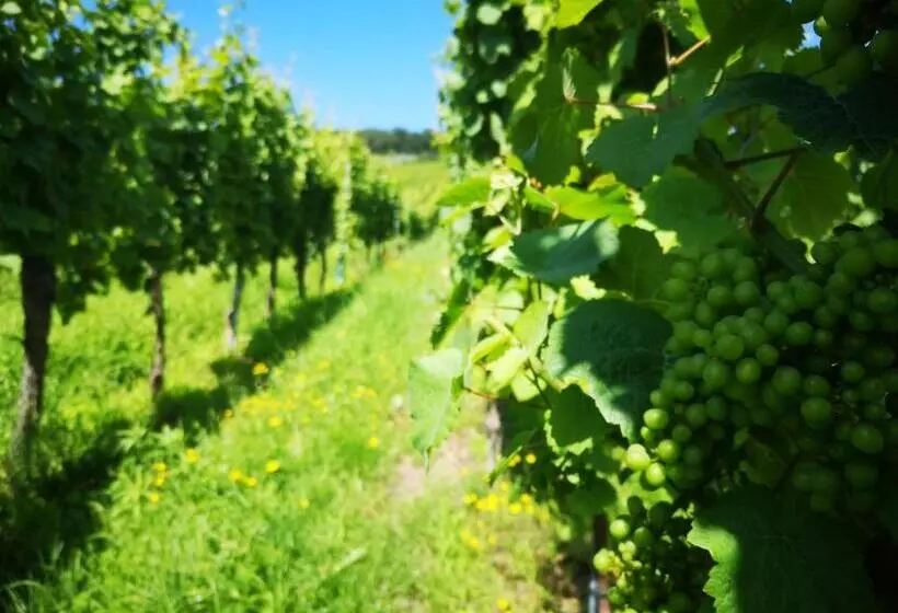 Aamiaismajoitus (B&B) Chambres D Hôtes Arnold