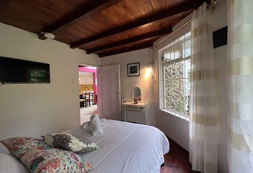 ホテル Deluxe Volcán