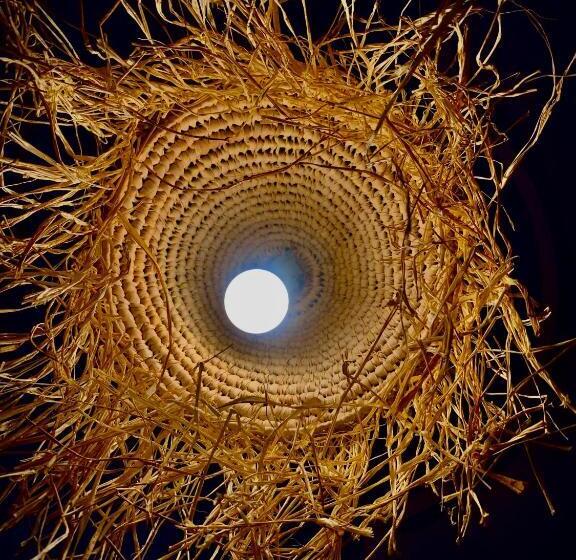 בית מלון כפרי Hôtel Riad Atlas Dades