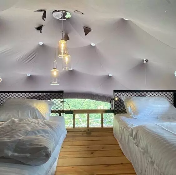 ホテル Kale Dome Orman Evleri