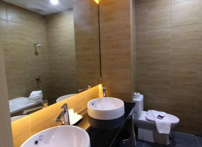 Отель Mayflower Grande Suite