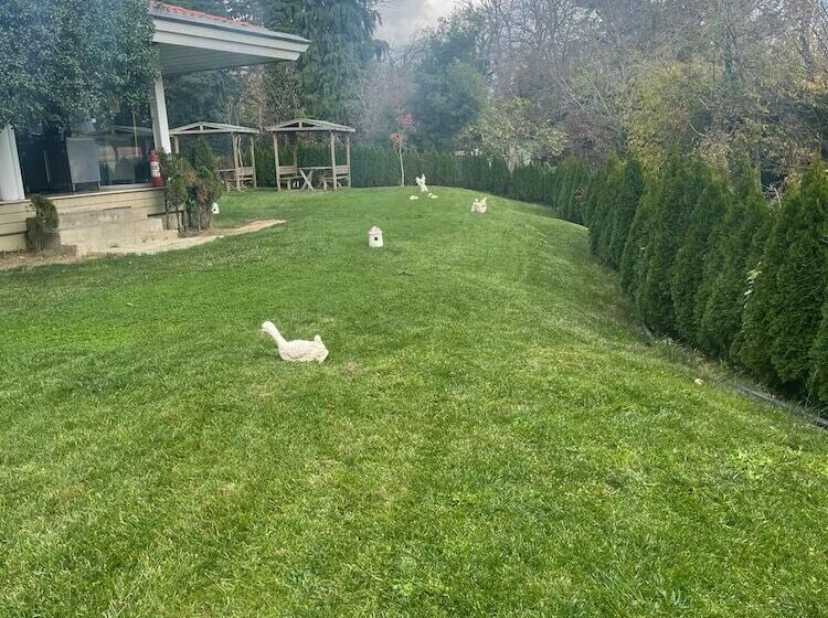 בית מלון כפרי Synosse Park