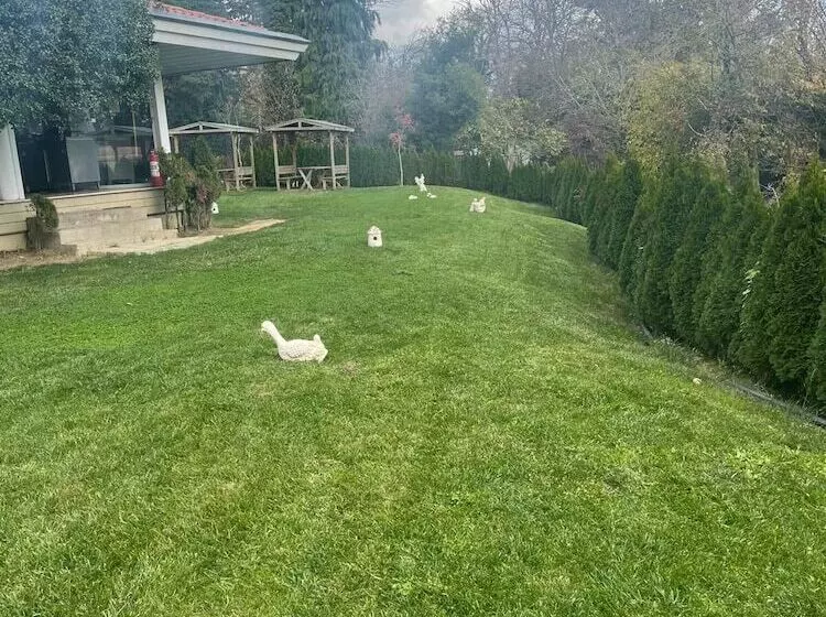 ホテル Synosse Park