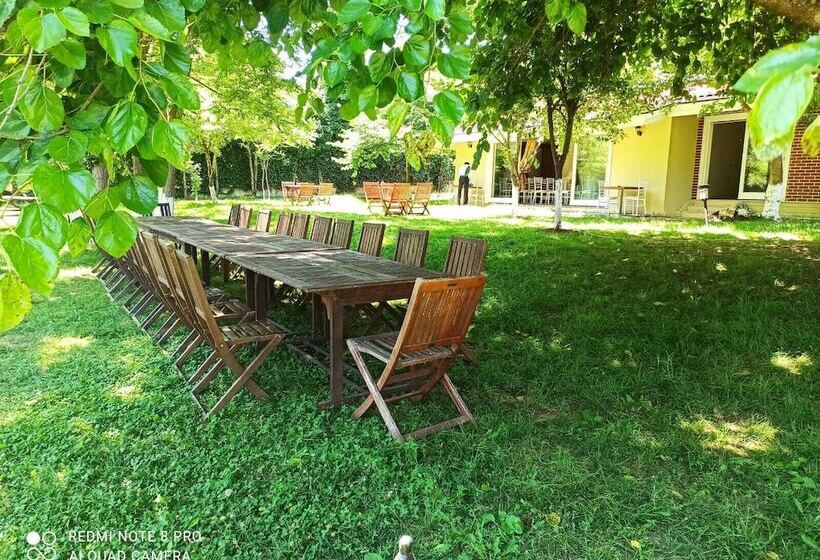 בית מלון כפרי Synosse Park